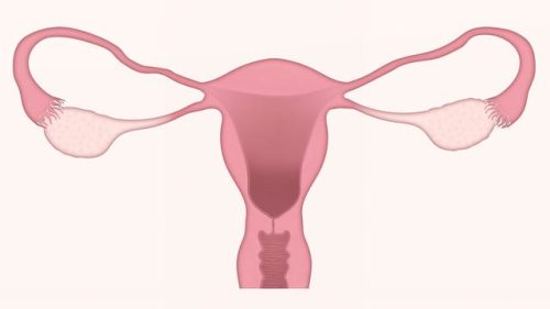obstetrica ginecologie sector 2